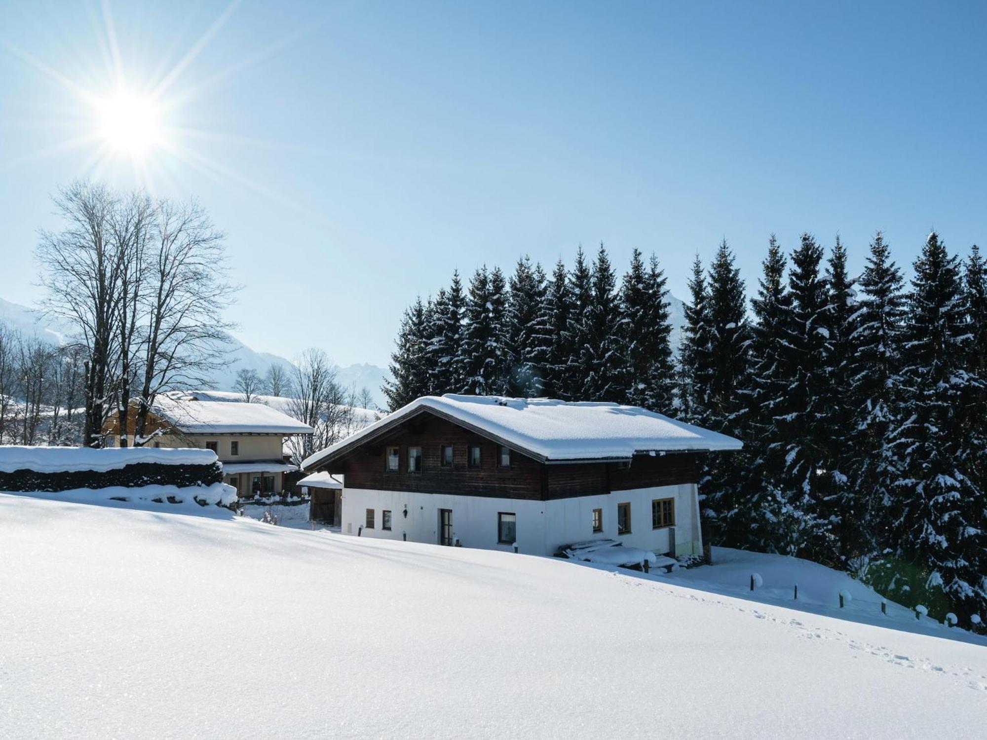 Apartment Near Flachau With Mountain View Eksteriør billede